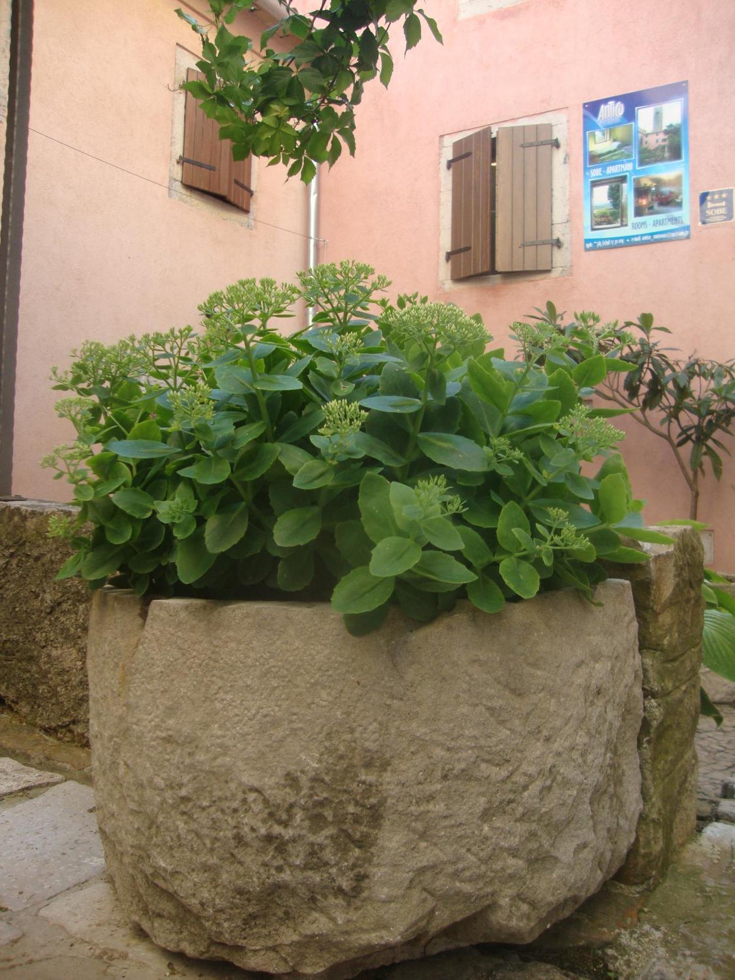 Bed & Breakfast Antico โมโตวุน ภายนอก รูปภาพ