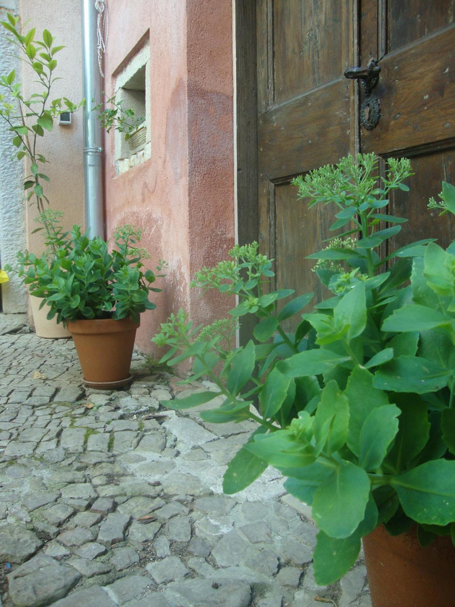 Bed & Breakfast Antico โมโตวุน ภายนอก รูปภาพ